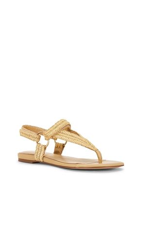 SANDALES ADELINA en . Taille 6.5. Also en 7, 7.5, 8 - RAYE - Modalova