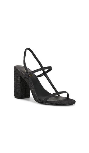 SANDALES AMIT en . Taille 6. Also en 6.5, 7, 7.5, 8, 8.5, 9, 9.5, 10 - RAYE - Modalova