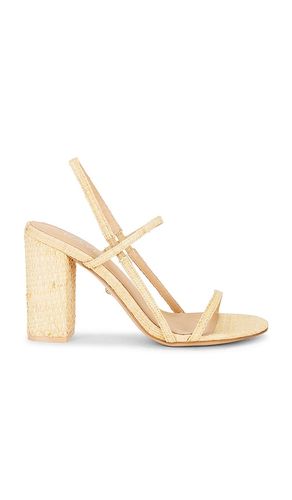 SANDALES AMIT en . Taille 5.5. Also en 6.5, 7, 7.5, 8, 8.5, 9, 9.5, 10 - RAYE - Modalova
