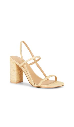 SANDALES AMIT en . Taille 5.5. Also en 6.5, 7, 7.5, 8, 8.5, 9, 9.5, 10 - RAYE - Modalova