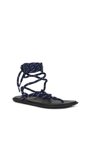 SANDALES LILLIE en . Taille 6. Also en 7, 9 - RAYE - Modalova