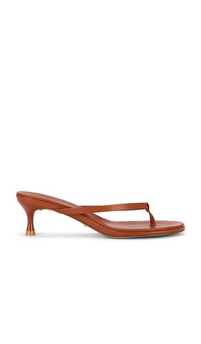 SANDALES KIMME en . Taille 7. Also en 7.5, 8, 9 - RAYE - Modalova