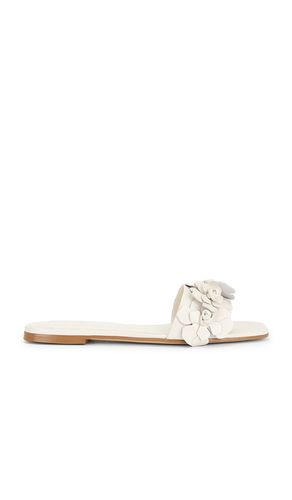 SANDALES IRIS en . Taille 7. Also en 8, 8.5 - RAYE - Modalova