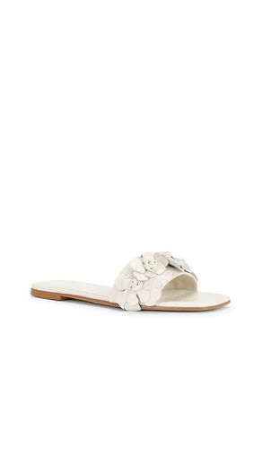SANDALES IRIS en . Taille 6. Also en 7, 8.5 - RAYE - Modalova