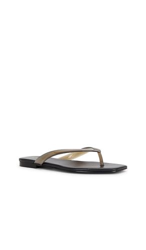 SANDALES PALOMA en . Taille 6. Also en 7, 7.5, 8, 8.5, 9 - RAYE - Modalova