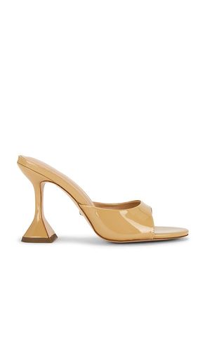 SANDALES POLINA en . Taille 6. Also en 7, 8, 8.5, 9, 10 - RAYE - Modalova