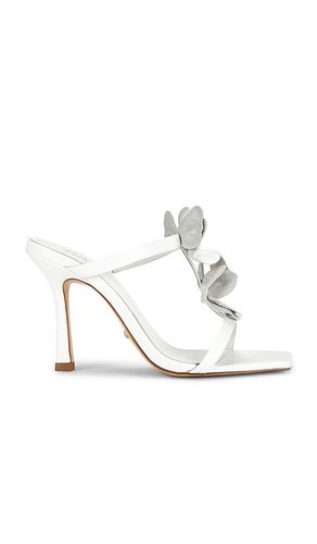 SANDALES SOLANA en . Taille 5.5. Also en 7, 7.5, 8, 9.5 - RAYE - Modalova