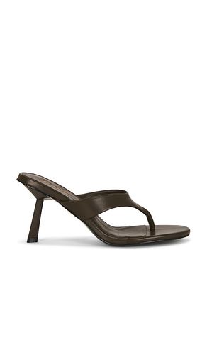 SANDALES ZAHO en . Taille 10. Also en 6, 6.5, 7, 7.5, 8, 9 - RAYE - Modalova