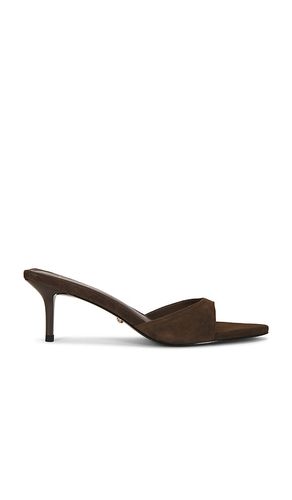 SANDALES CHAD en . Taille 5. Also en 5.5, 6, 6.5, 7, 7.5, 8, 8.5, 9, 9.5, 10 - RAYE - Modalova