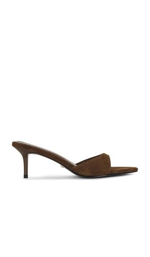 SANDALES CHAD en . Taille 10. Also en 5.5, 6, 6.5, 7, 7.5, 8, 9 - RAYE - Modalova