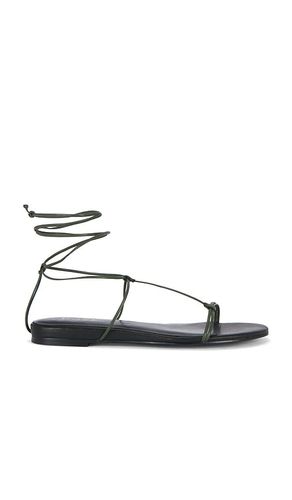 SANDALES ELISA en . Taille 10. Also en 6, 6.5, 7, 7.5, 8, 8.5, 9, 9.5 - RAYE - Modalova
