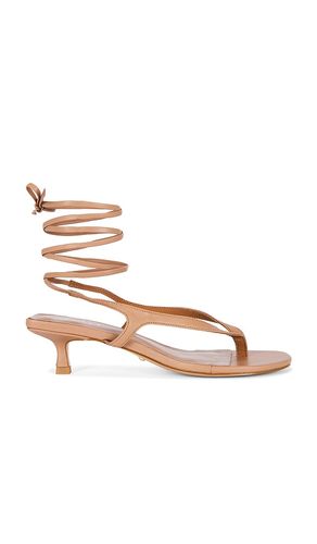 SANDALES NOURIN en . Taille 5.5. Also en 6, 6.5, 7, 7.5, 8, 8.5, 9 - RAYE - Modalova