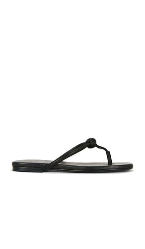 SANDALES AARAV en . Taille 10. Also en 5.5, 6, 6.5, 7, 7.5, 8, 8.5, 9, 9.5 - RAYE - Modalova