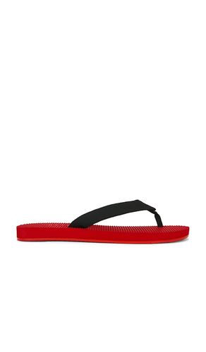 Cane Flip Flop en . Taille 10. Also en 5, 6, 7, 8, 9 - RAYE - Modalova