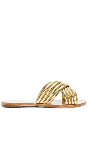 NU-PIED ZIGGY en . Taille 6.5. Also en 7, 8 - RAYE - Modalova