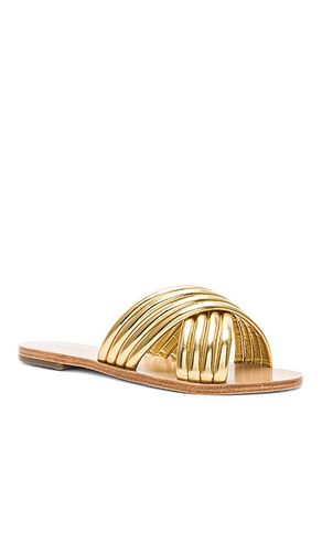 NU-PIED ZIGGY en . Taille 6.5. Also en 7, 9 - RAYE - Modalova