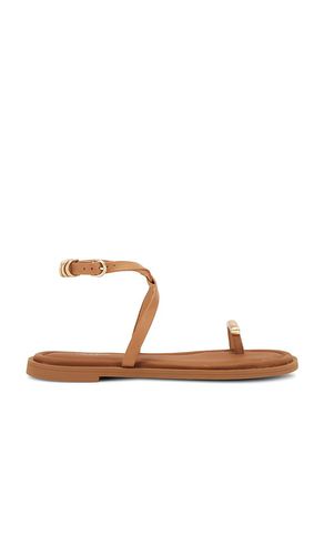 SANDALES ANNEAU GEO in . Size 36, 37.5 - Rag & Bone - Modalova