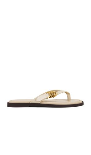 SANDALES TONG GIA in . Size 37.5, 38, 38.5, 39, 40 - Rag & Bone - Modalova