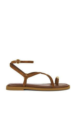 SANDALES GEO in . Size 36.5, 38, 38.5, 39, 41 - Rag & Bone - Modalova