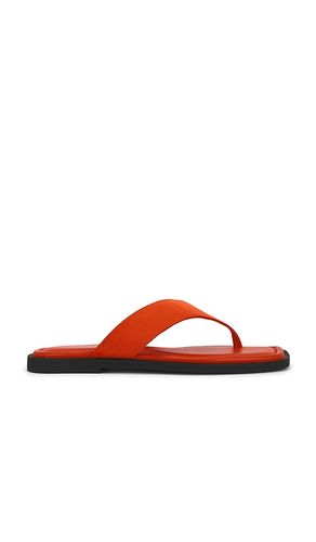 SANDALES GRACIE THONG en . Taille 36. Also en 36.5, 37, 40, 41 - Rag & Bone - Modalova