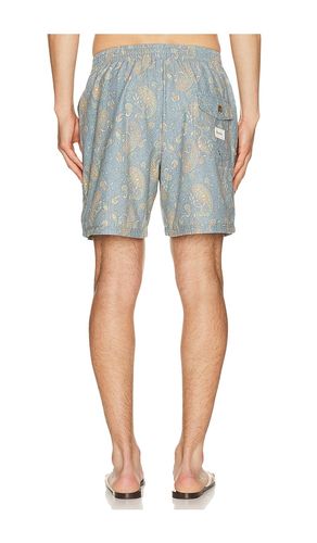 Tally Paisley Swim Short en . Taille 30. Also en 32, 34 - Rhythm - Modalova