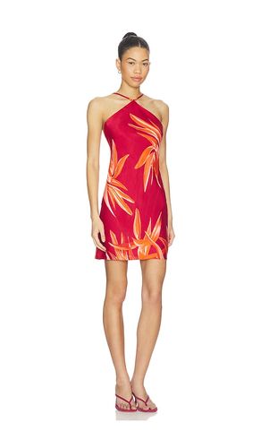 ROBE DRESS en . Taille S. Also en XXS, XS, M, XL, XXL - ROCOCO SAND - Modalova
