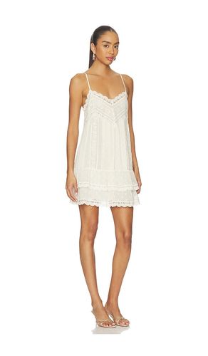 ROBE COURTE LACE DETAIL MINI DRESS en . Taille M. Also en S, XL, XXL - ROCOCO SAND - Modalova