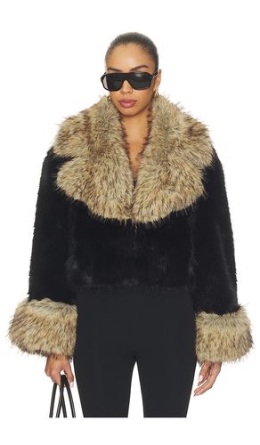 Beso Jacket en . Taille L. Also en M, S, XL, XS - retrofete - Modalova