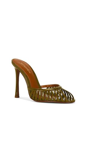ESCARPINS ALLISTAIR en . Taille 36. Also en 37, 38, 41 - retrofete - Modalova