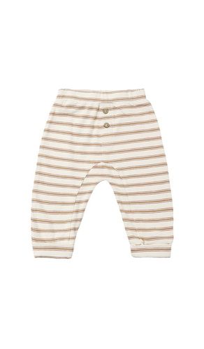 PANTALON BABY CRU en . Taille 12-18M. Also en 18-24M, 2-3yr - Rylee + Cru - Modalova