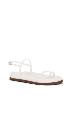 SANDALES AZZY SPORTY en . Taille 10. Also en 9.5 - Schutz - Modalova