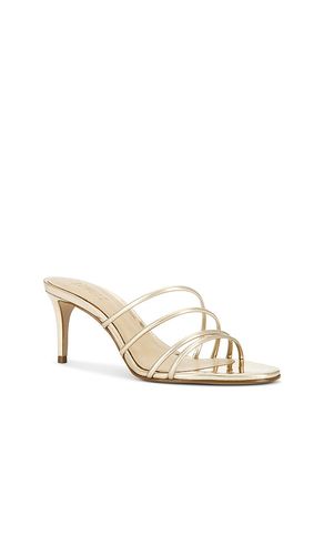 MULES INEZ en . Taille 10. Also en 6, 6.5, 7, 7.5, 8, 8.5, 9.5 - Schutz - Modalova