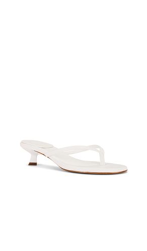 SANDALES CAROLYN en . Taille 10. Also en 6, 9.5 - Schutz - Modalova