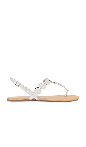 SANDALES ACACIA T en , . Taille 6. Also en - Schutz - Modalova