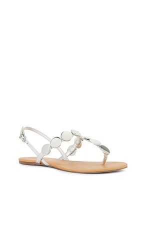 SANDALES ACACIA T en , . Taille 6. Also en 6.5, 7.5, 8 - Schutz - Modalova