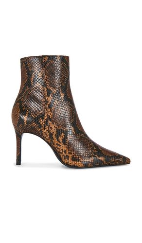 BOTTINES MIKKI en . Taille 6. Also en 6.5, 7, 7.5, 8, 8.5, 9, 9.5, 10 - Schutz - Modalova