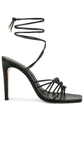 SANDALES SIRENA in . Size 6, 7.5, 8, 8.5, 9.5 - Schutz - Modalova