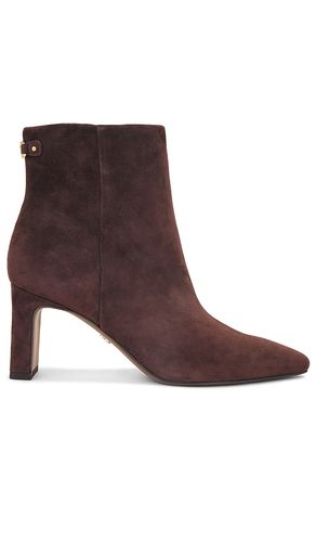 BOTTINES SAIGE en . Taille 6. Also en 6.5, 7, 7.5, 8, 8.5, 9, 9.5, 10 - Sam Edelman - Modalova