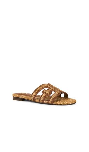 SANDALES BAY MULTI en . Taille 7. Also en 5.5 - Sam Edelman - Modalova
