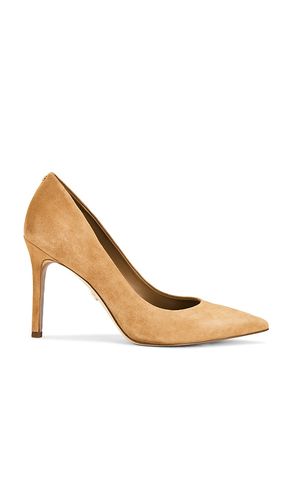 ESCARPINS HAZEL en . Taille 10. Also en 6, 6.5, 7, 7.5, 8.5 - Sam Edelman - Modalova