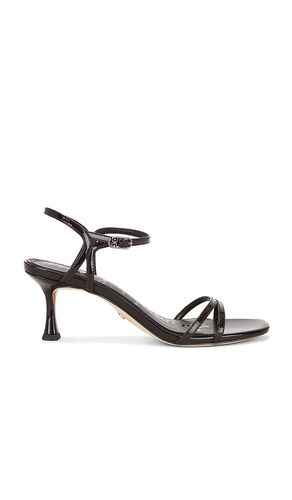 SANDALES PRESLEY en . Taille 10. Also en 6, 7, 7.5, 9.5 - Sam Edelman - Modalova