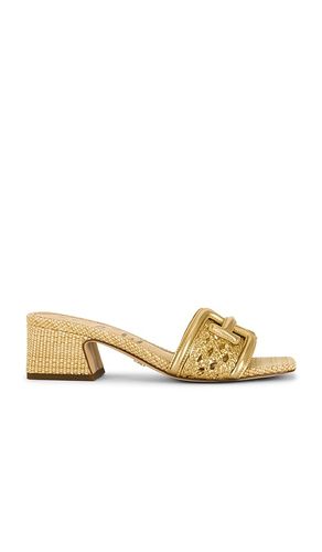 SANDALES WAYLON WEAVE en . Taille 6. Also en 7.5, 8, 8.5 - Sam Edelman - Modalova