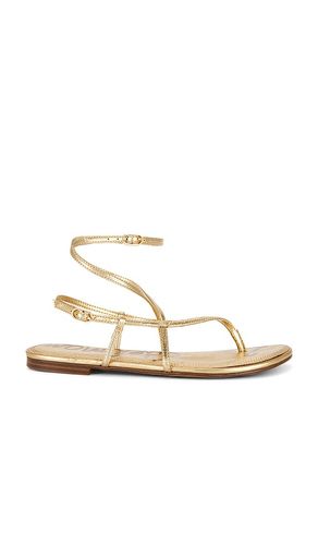 SANDALES CLARRA en . Taille 7. Also en 7.5, 8.5, 9.5 - Sam Edelman - Modalova