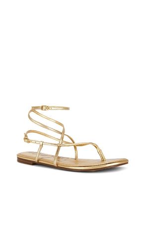 SANDALES CLARRA en . Taille 7. Also en 9.5 - Sam Edelman - Modalova