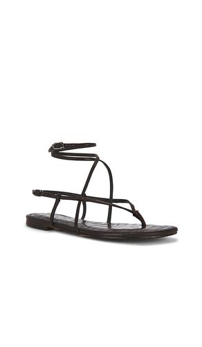 SANDALES CLARRA en . Taille 6. Also en 6.5, 7, 7.5, 8, 8.5, 9 - Sam Edelman - Modalova