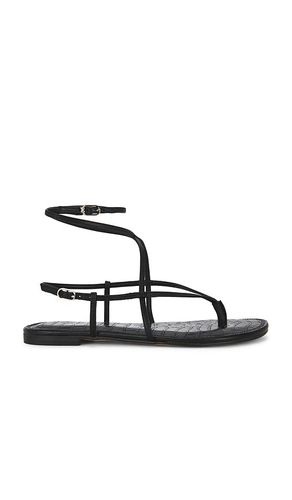 SANDALES CLARRA en . Taille 6. Also en 6.5, 7, 7.5, 8, 8.5, 9, 9.5 - Sam Edelman - Modalova