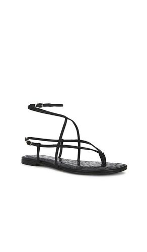 SANDALES CLARRA en . Taille 6. Also en 6.5, 7, 7.5, 8, 8.5, 9, 9.5 - Sam Edelman - Modalova