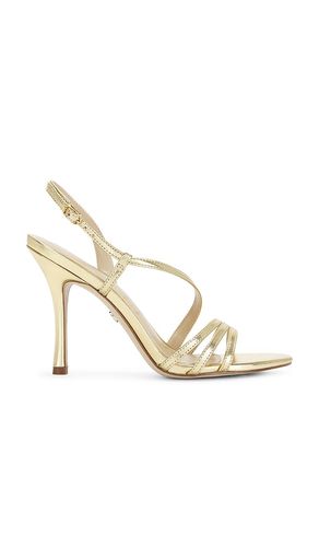 SANDALES CHARLI en . Taille 6. Also en 6.5, 7, 7.5, 8, 8.5, 9, 9.5 - Sam Edelman - Modalova