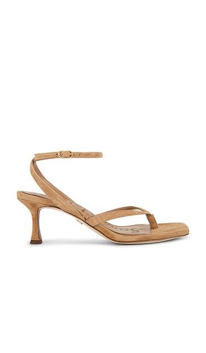 SANDALES PAX en . Taille 6.5. Also en 7, 7.5, 8.5, 10 - Sam Edelman - Modalova
