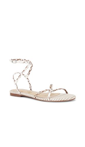 SANDALES ELLINA BRAID en ,. Taille 6. Also en 6.5, 7.5, 8.5, 9, 9.5, 10 - Sam Edelman - Modalova
